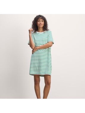 Everlane Organic Cotton Weekend Tee Dress Green and White Striped